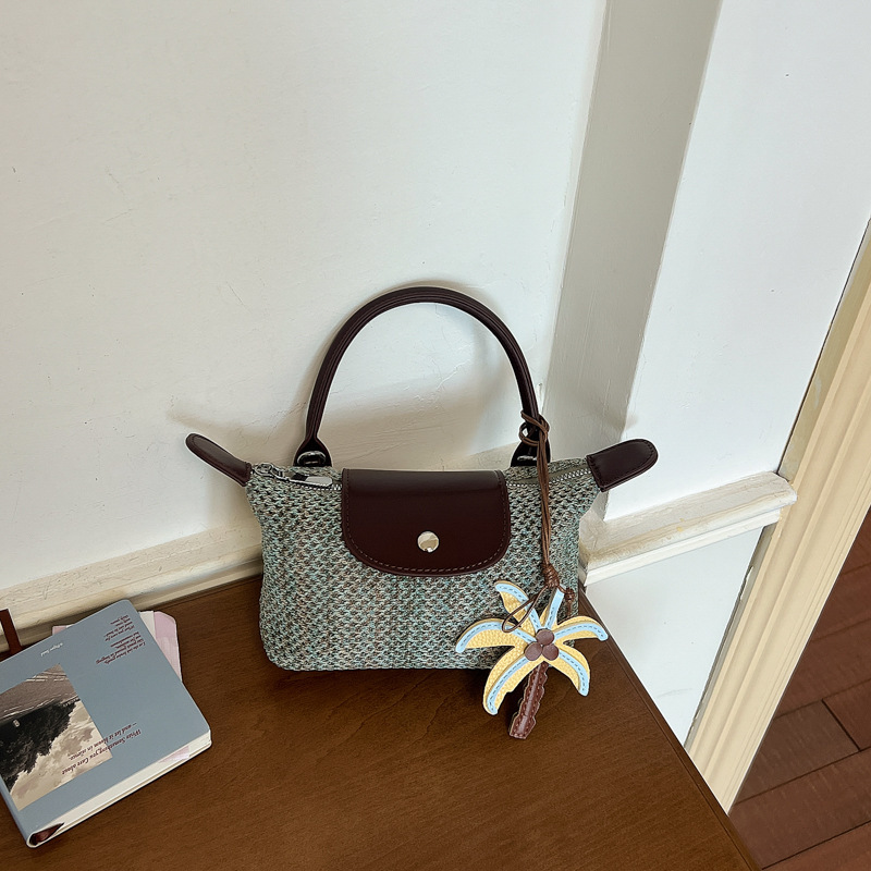 This Year's Trendy Color-Blocking Niche Design Handbag and Crossbody Bag, Small Bag, 2026 New Style, Fashionable and Versatile Women's Bag