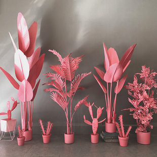 �F؛�����ɫ�������˽������Bɢβ���Gֲ ���W���͇�ɫֲ��[��