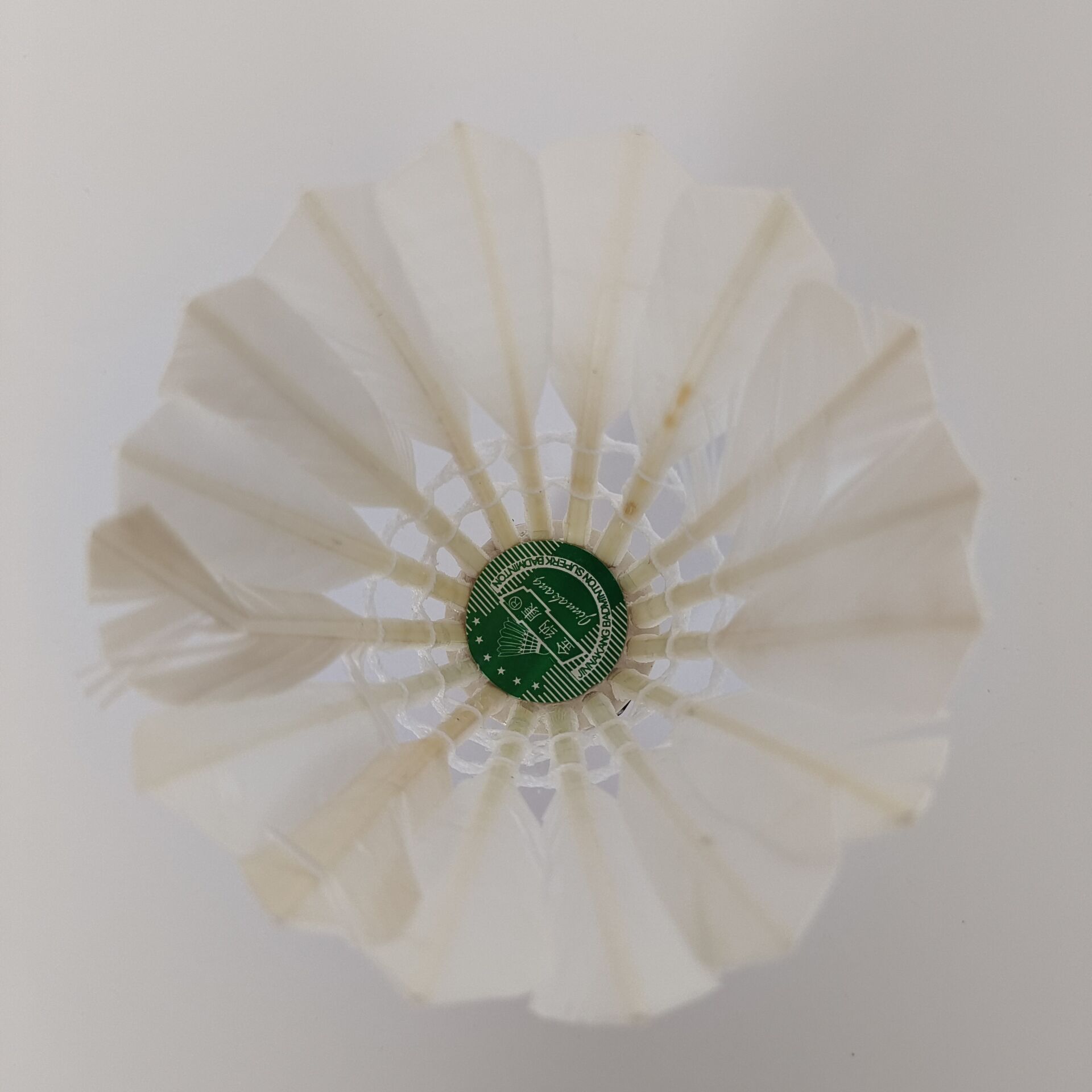 B0770B4BFEDA9DB2F3306C474700F2