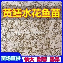 �S�Xˮ���~�絾��Ұ�����S�X�P���X�Lβ�~�X�~���ͺ��׻��Ї�