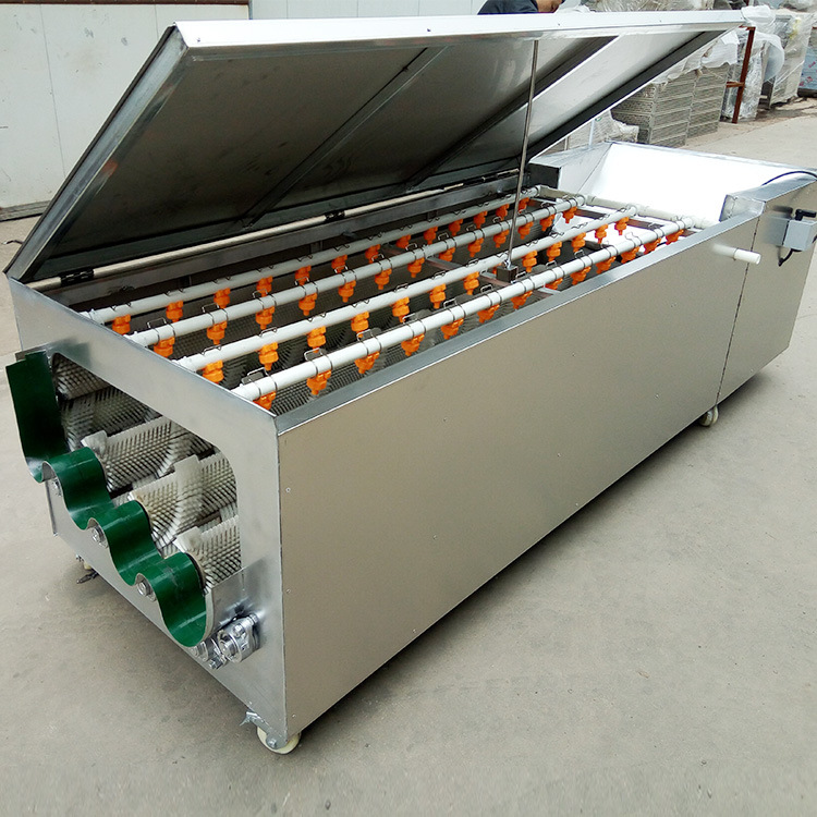 马铃薯不伤皮毛辊清洗机 蔬菜毛刷清洗设备 连续式萝卜去泥机