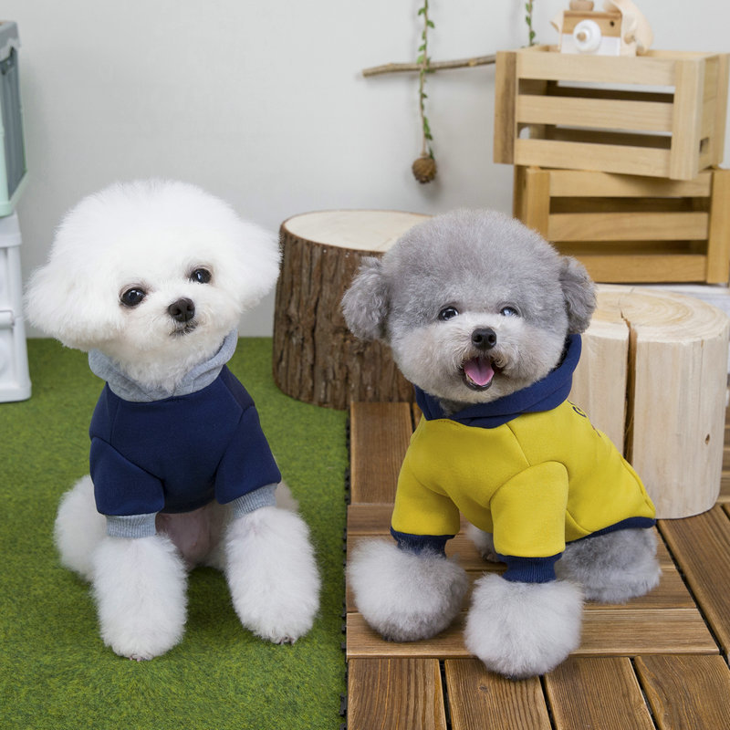 狗狗衣服秋冬装泰迪比熊小型犬猫咪两脚宠物衣服冬季25早上卫衣|undefined