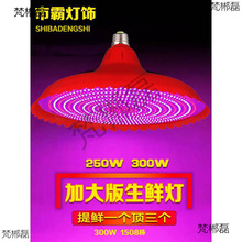 ӴledriˮձrrʳЈПt