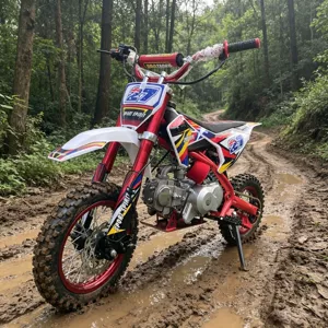 110Cc uşaq off-road motosikleti, dörd taktlı dağ off-road, mini