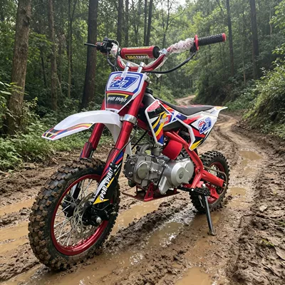 Directly Supplied from the Manufacturer, 110Cc Children's Off-Road Motorcycle, Four-Stroke Mountain Off-Road Motorcycle, Adult Mini