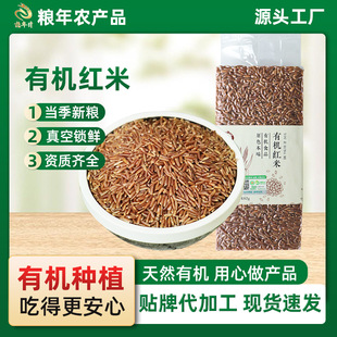 �|���ЙC�t������ȫ��ѿ��ȴּZ������֬��ʳ����������׼t����