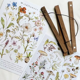 �쮋�A������ľ����A�S�������ѿ��ͮ���о��Ƭ���A����������