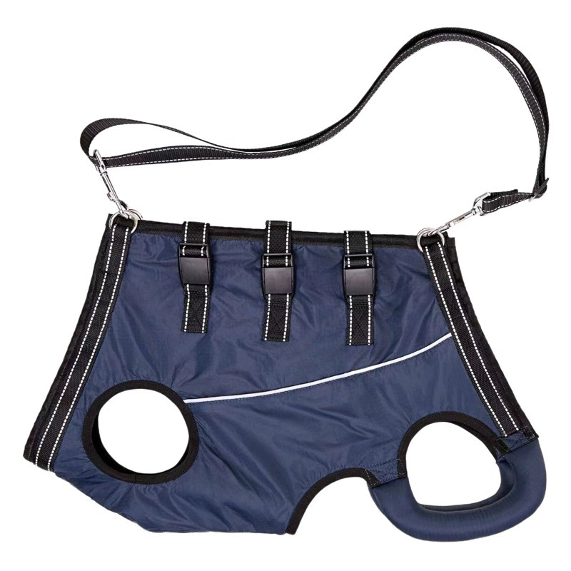 Уход за домашними животными Уход за пожилыми собаками