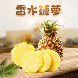 广东香水菠萝 代发5/8斤酸甜应季手撕甜菠萝新鲜水果非金钻凤梨