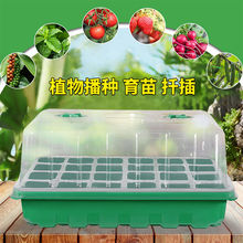 �������̖���w12��24��Ǥ���貥�N���琞�B���~��Ѩ�P�����~��