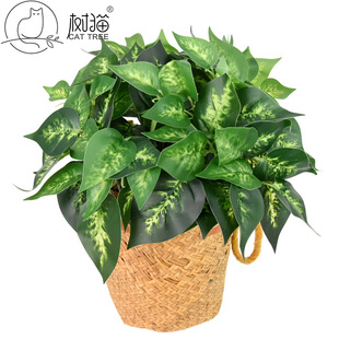 ����G�}�~7�^�S�����~��С�����ٻ��k�����b��f����Gֲ����