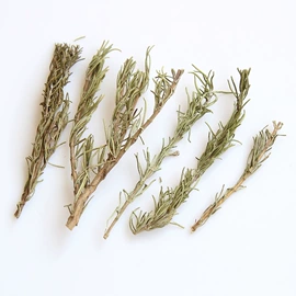 鲜花花艺制品;干花;仿真绿植