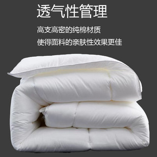 �Ƶ�����ȫ�ޱ�о������z�d��ů͸��Ӻ񶬱��ļ��������l����