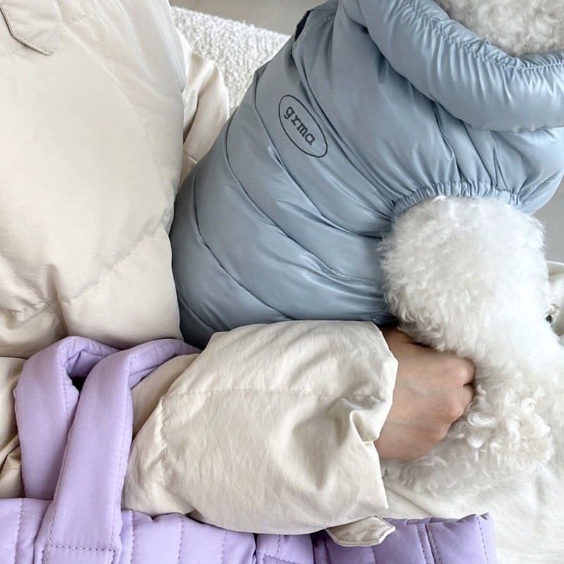 Otoño y invierno para perros coreanos Morandi simple chaleco de algodón caliente gato de dos patas peluche ropa de perro mascota