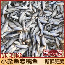 Ұ�����~�����~���l�~�_�h�~�F���F�l