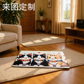 入户卡通浴室地垫硅藻泥地垫吸水耐脏防滑脚垫家用卫生间门垫动漫