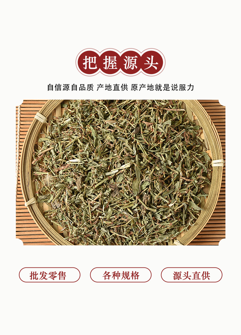 Bian Xu (Polygonum aviculare) — Dried Food Herb, Traditional Chinese Herbal Tea Ingredient quality and texture