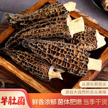 ����خa�^����������Ǿ�5-7cm125g���lĢ����؛���l���lʳ��