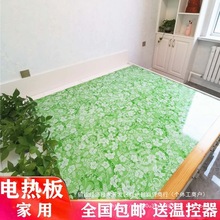 韩国电热板电暖炕碳纤维无辐射可调温家用电暖炕电热炕板电热毯