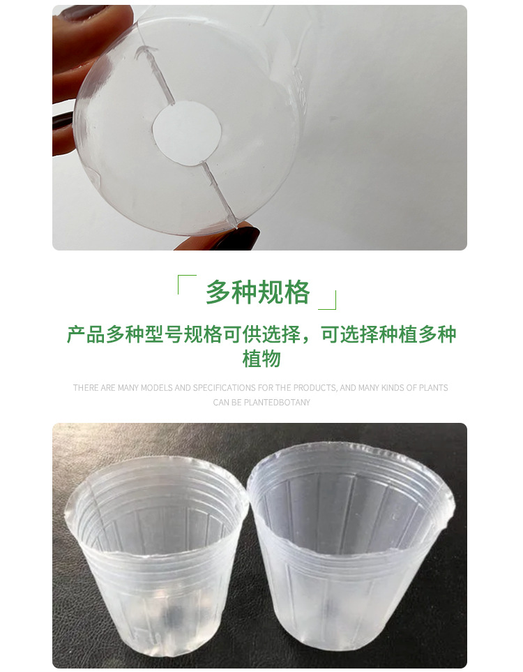 兰花杯,透明花盆,蝴蝶兰花盆