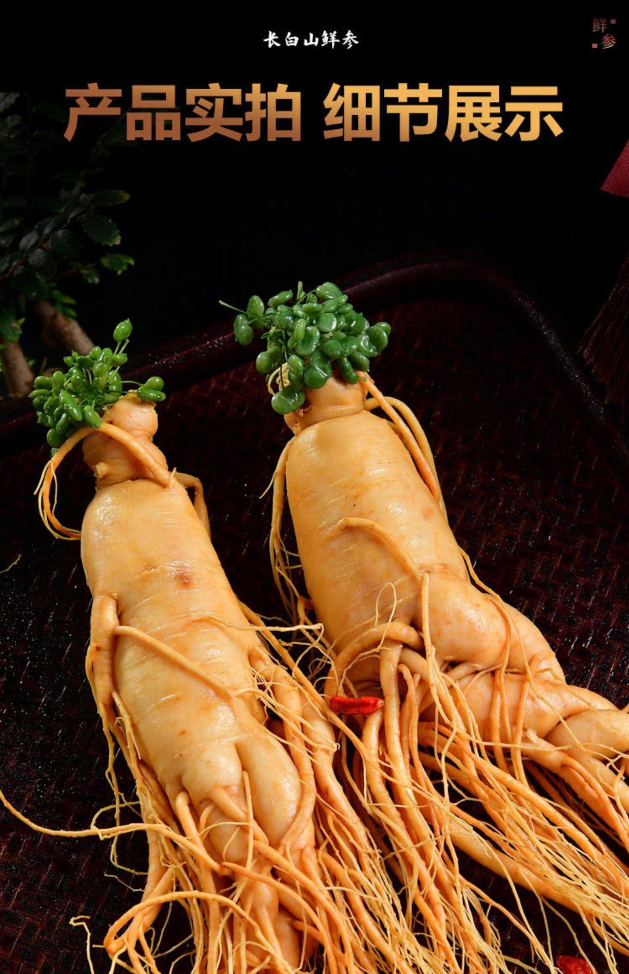 Fresh Ginseng Root Extra Large Single Piece Changbai Mountain Ren Shen for Wine Infusion and Cooking overview