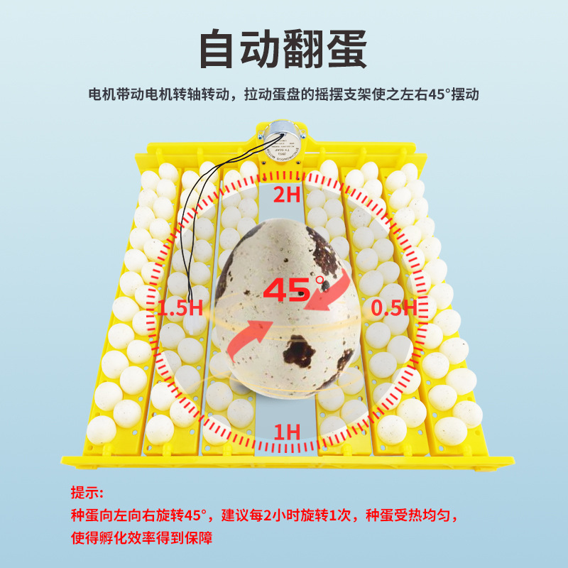 132 pájaro huevo placa automática incubadora huevo placa automática huevo torneado mini incubadora accesorios suministro directo de fábrica