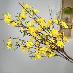 ӭ YüҾbѩٻһ@ˇ[