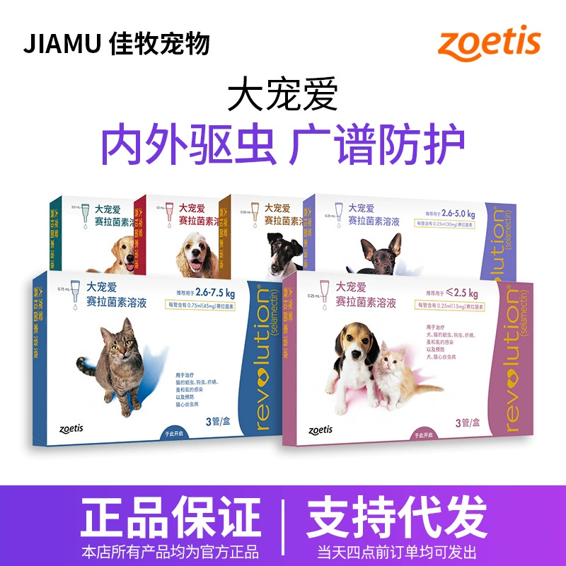 Большая баловщица Насекомые взрослые кошки котята 15 мг собака in vivo и in vivo дегельминтизация тростов Блоха Аскард клещ 45 мг