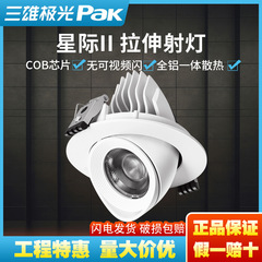 三雄オーロラ星間ストレッチ金象鼻灯28w35w組み込み式反転可能な洋服店COBの新しいスポットライト