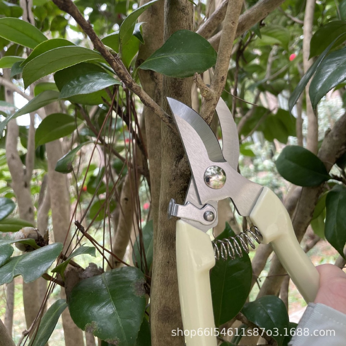 园林摘果专用不锈钢加厚弯头剪刀多功能园艺修枝摘果剪果园专用剪