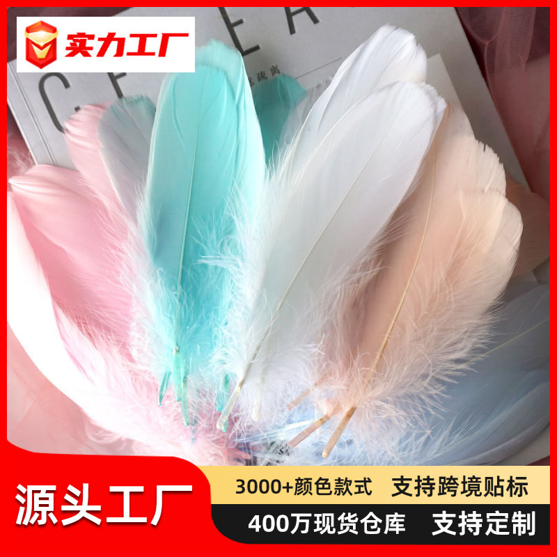 鹅毛软大飘diy太阳花墙饰捕梦网翅膀装饰手工材料彩色逗猫棒羽毛