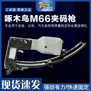 ��ľ�BM66�A�a��/M66�A�a�����\�B�\�����|���|�A�W�A�a��