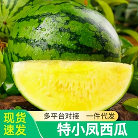 块茎类;其他水果;苹果