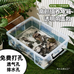 Turtle Turnover Box Breeding Tank Large with Lid Ecological Landscaping Plastic Transparent Turtle Tank Fish Tank Household Aquarium