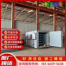 rˮCʳþˮ }Ӝ зζ߉