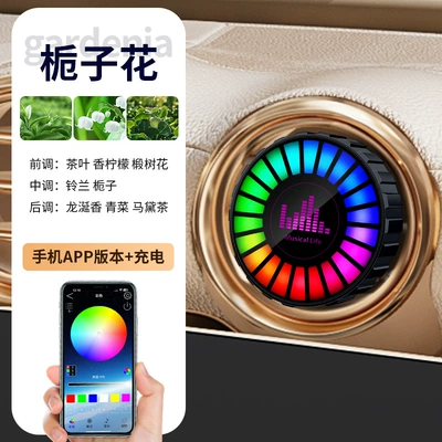 Other lights Light Rgb Full-Color Music Rhythm - bluetooth-app-version-charging-fully-automatic-start-and-stop-gardenia