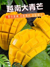 ����Խ�����ڽ�9��Ƥһ��â�����â�Fժ����â����������rˮ��