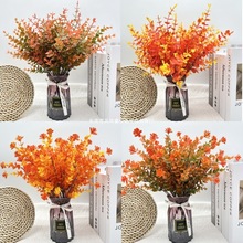 �羳�¿���ɫ�ȼ����軨�r��޹�²ݔ[�� �＾ֲ��Ҿ��b��滨