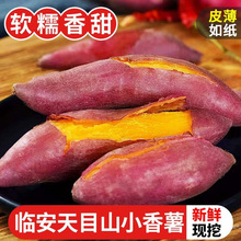 �����R����ĿɽС��������С���������Ŵ�ع�С�t�����rɳ�ذ��]