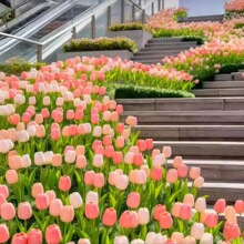 �����㻨���b��滨���^���@�̘I�ֹ��շՇ��b��̈������쾰��