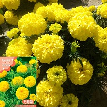 f۾ջN׻̨ͥԺֲܽؾջܷNļN_