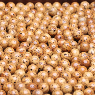 Longan Bodhi Seed 12mm Eighteen Seeds with Beads Bodhi Bracelet Bodhi Seed Gold Size