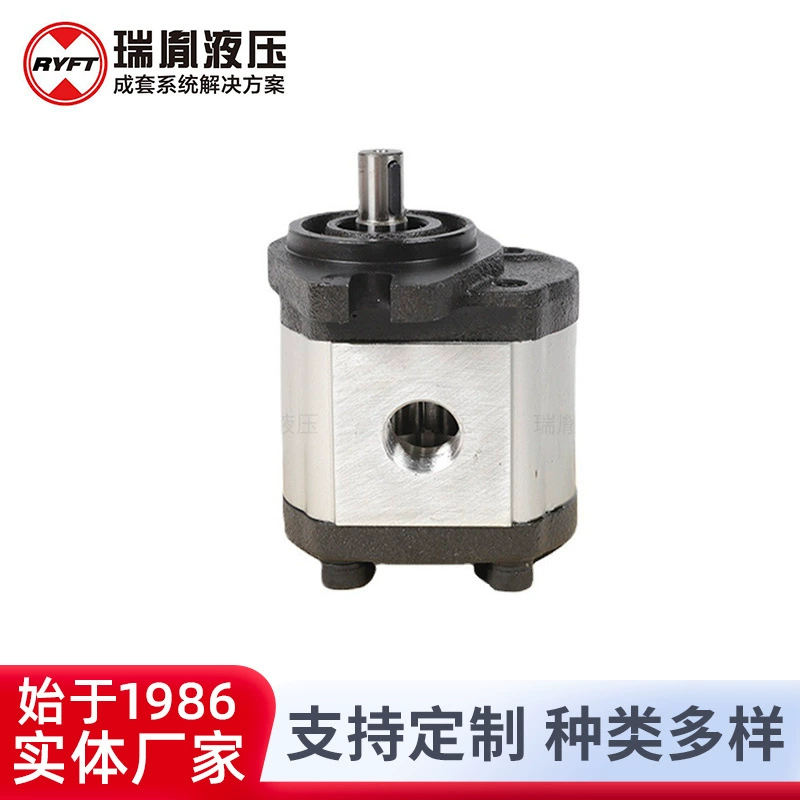 Производители поставляют Rui Yi с высокой объемной эффективностью производители напрямую поставляют гидравлические шестеренные насосы