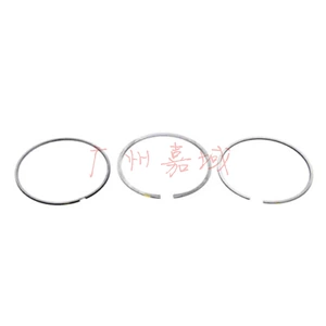 BMW E66 760Li N73 N73B60B üçün Piston Halqası 11250152565