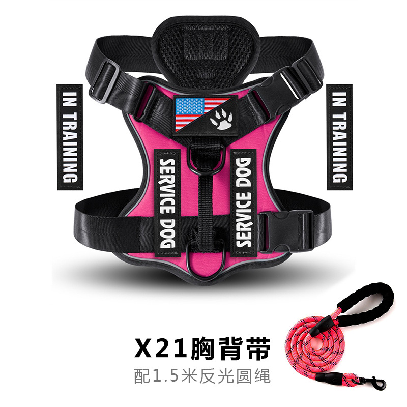 로즈 레드 세트