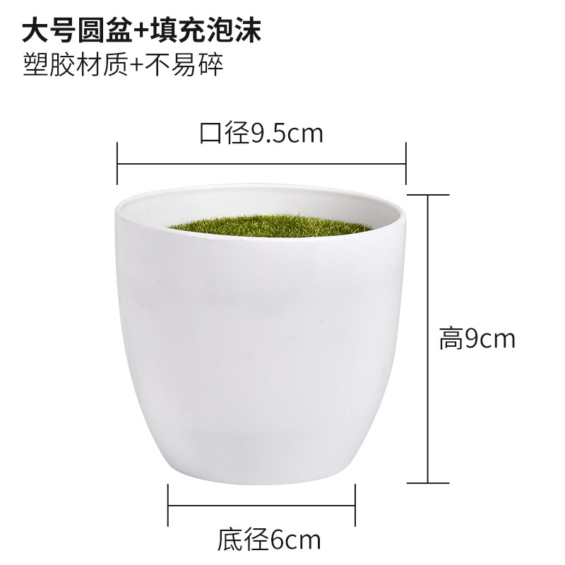 거품으로 채워진 큰 둥근 분지 +