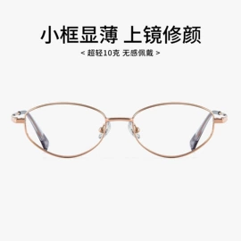 框架眼镜;眼镜片;服务商品