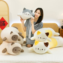 �����¿�ſſ؈�����ﶬ���ٴ�̖����؈���L�l����߉݋؈�A����ż