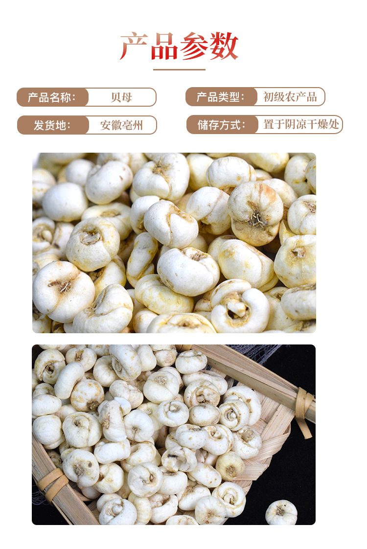 Fritillaria Bulb Chuan Bei Mu Dried Chinese Herbal Bulbs for Decoction and Traditional Use 500g preparation