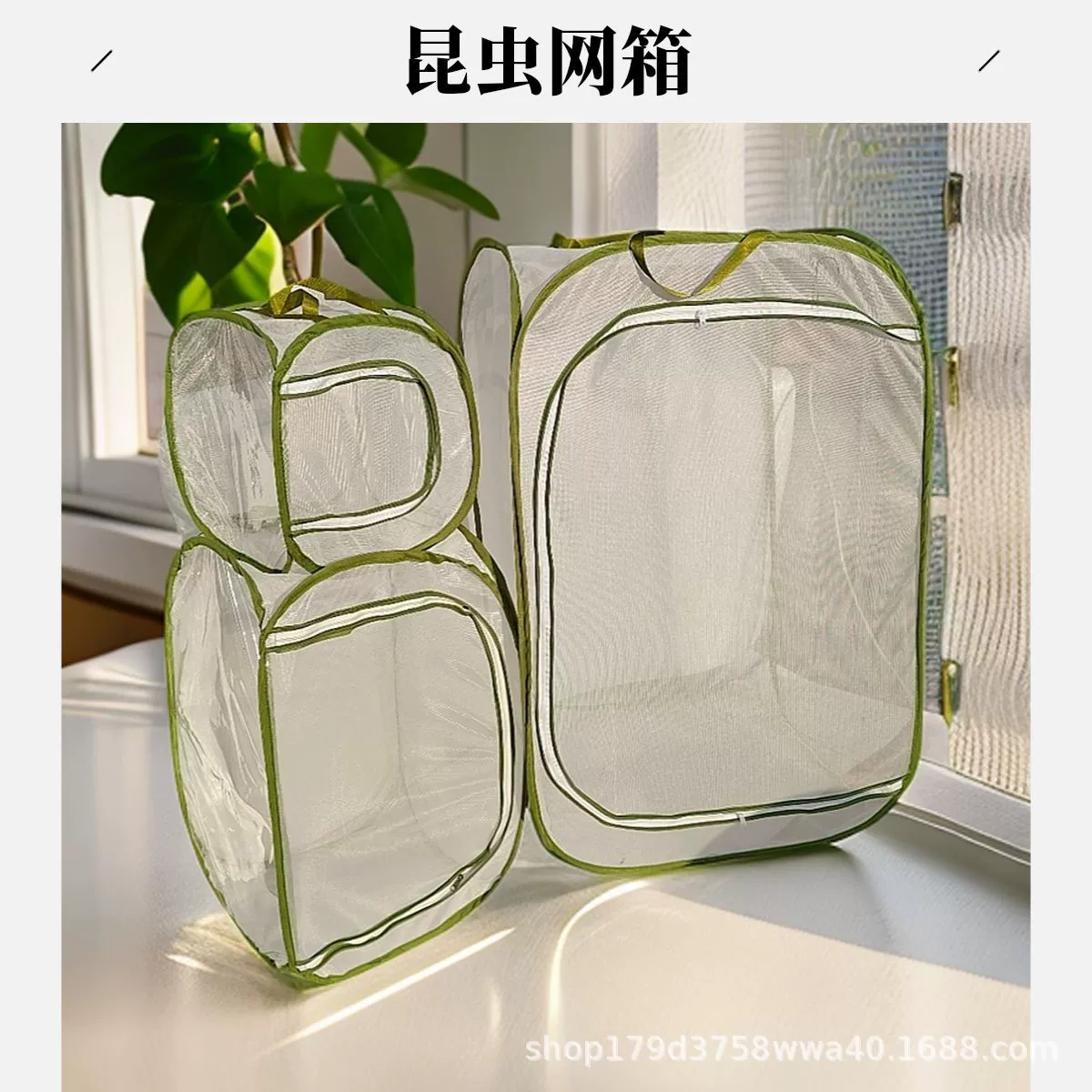 Клетка-бабочка для разведения летающих насекомых сетка для питомцев